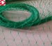 China factory directly supply HDPE plastic green anti-bird netting for agricultural