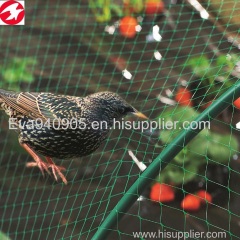 China factory directly supply HDPE plastic green anti-bird netting for agricultural