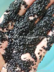 anaerobic granular active sludge