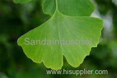 Ginkgo Biloba Extract Equipment and Technology