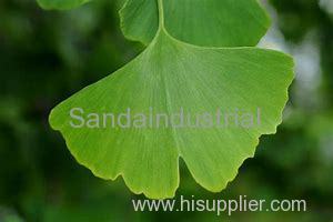 Ginkgo Biloba Extract Equipment and Technology