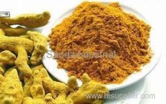 Curcumin Extraction Line Equipment and Technology