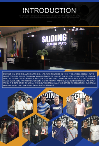 saiding-1