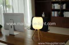 Electric Acorns Table Lamp With LED and USB