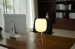 Electric Acorns Table Lamp With LED and USB