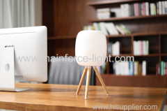 Electric Acorns Table Lamp With LED and USB