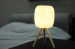 Electric Acorns Table Lamp With LED and USB