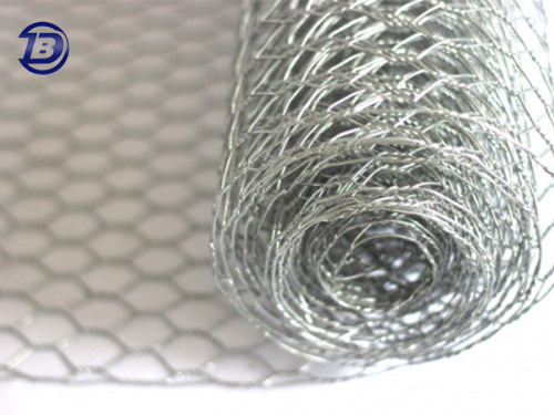 Hexagonal Wire Netting china