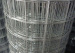 Stainless Steel Welded Wire Mesh