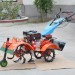Micro tiller with B1-M used in flower farm and orchard