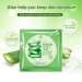 Natural Aloe Vera Pure Plant Extract Tendering Deep Moisturizing Nourishing Face Mask