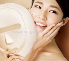 ECO FACE LED Mask Electric Facial Skin Rejuvenation Device