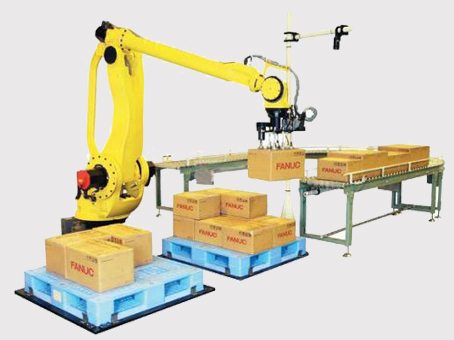 Cartoning and Palletizing Robot for Production Lines
