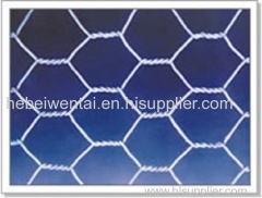 Wen Tai Hexagonal Wire Netting