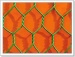 Wen Tai Hexagonal Wire Netting