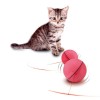 Cat Toy ball Interactive Rotating