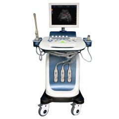 Trolley Color Doppler Ultrasound Diagnostic System