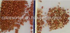 China made. high quality. advanced good performance Groundnuts. Peanuts CCD color sorter machine with best price