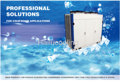 R22 Box U Low Temperature Semi-hermetic Condensing Unit