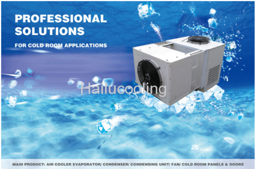 Wall-mounted Monoblock Refrigeration Unit