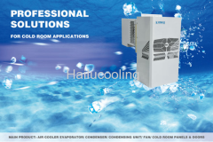 1HP Embraco Wall-mounted Monoblock Refrigeration Unit