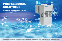 1.5HP Rooftop Refrigeration Monoblock Unit