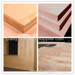 Commercial Plywood  contact me daisy at woodbm dot com