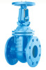 FLANGE END RISING STEM GATE VALVE