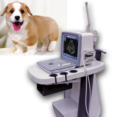Animal black and white ultrasound machine