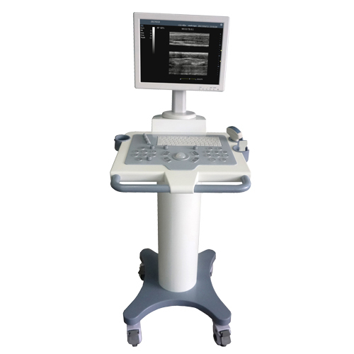 Trolley ARM platform full digital ultrasound diagnostic machine
