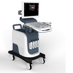 Mobile full digital color doppler ultrasound diagnostic system