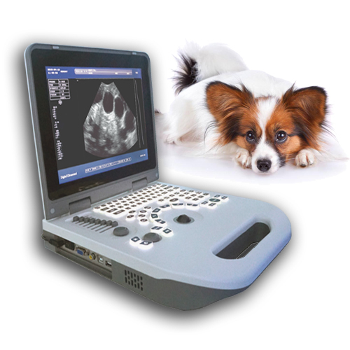 Veterinary Black white laptop ultrasound diagnostic equipment