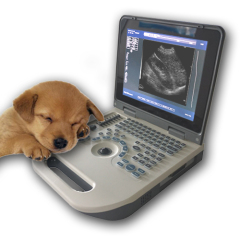 laptop Veterinary full digital ultrasound diagnostic;pet ultrasound machine