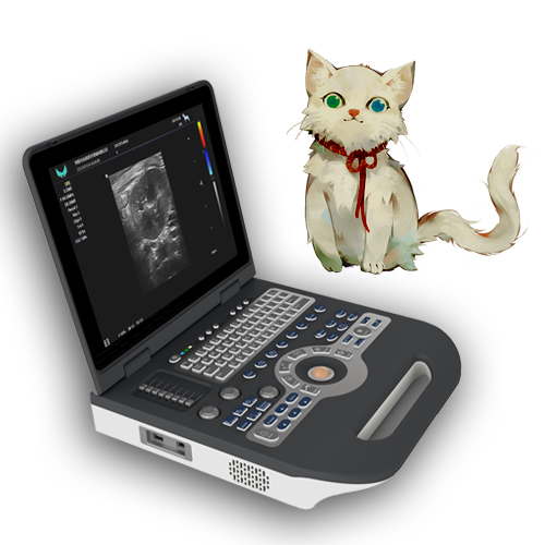 Pet laptop color doppler ultrasound diagnostic system