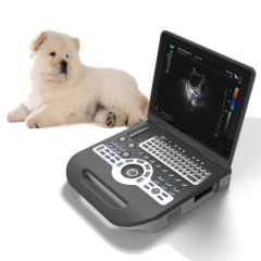 Pet laptop color doppler ultrasound diagnostic system