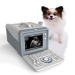 Veteriary portable ultrasound diagnostic equipment