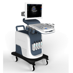 Mobile Full Digital Color Doppler Uultrasound Diagnostic System