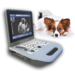 Veteriary laptop black white full digital ultrasound machine