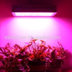 Hydroponic Full Spectrum 1500W Panel LED Grow Lights