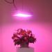 1000w LED Grow Light/ 1000watts for Plant Factory City Farming/ LED Grow Lights Full Spectrum