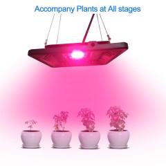 vanq led grow light/ 100w led grow light/ vanq 100w led grow light