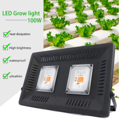 Professional After-Sales Service Warm White Vanq 100W Led Grow Light