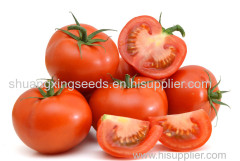 wholesale hybrid f1 tomato seeds vegetable seeds