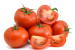 wholesale hybrid f1 tomato seeds vegetable seeds