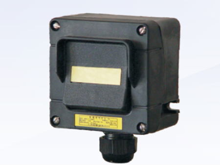 BZS273 series explosion-proof lighting switch