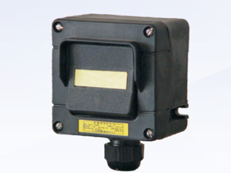 BZS272 series explosion-proof lighting switch