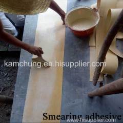 Composite Structure Coating Sheet