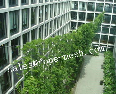 Rope Mesh Green wall