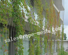 Rope Mesh Green wall