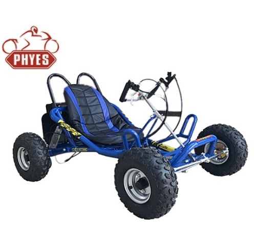 phyes 1 seat Drifta 196cc Go Kart